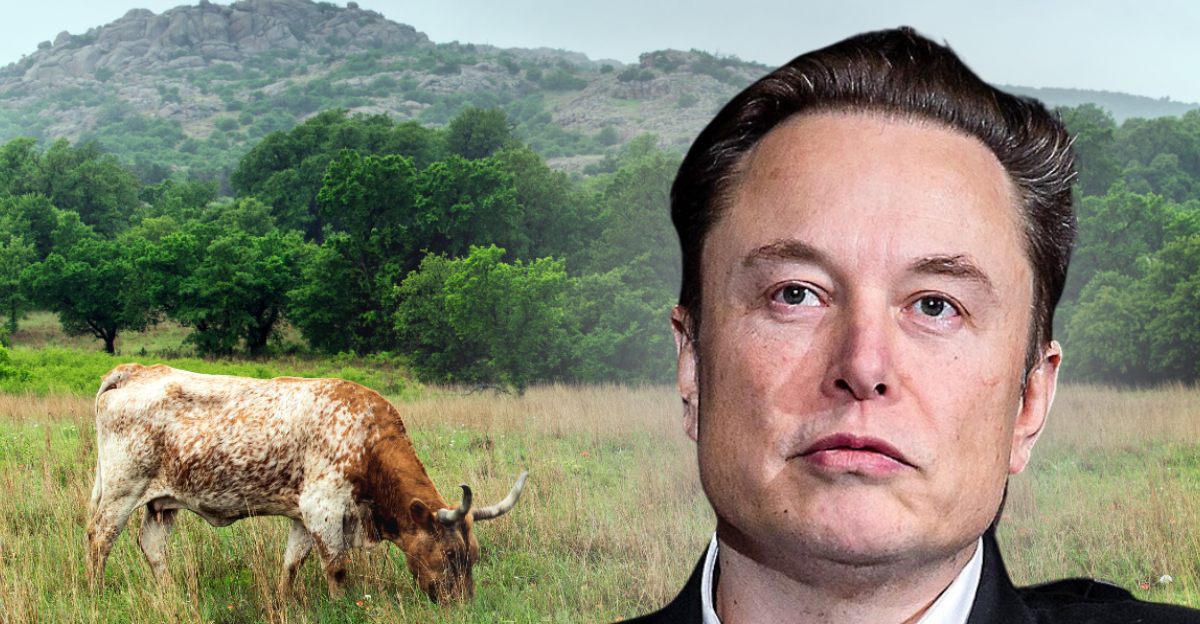 Tesla Inc. Chief Executive Officer Elon Musk speaks with Lt. Gen. Richard Clark