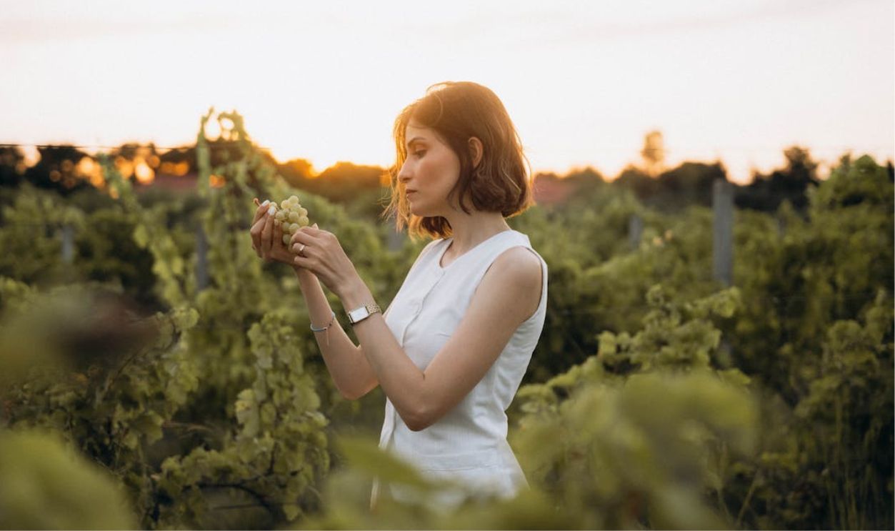 Untitled Design - 2026-02-09T124331.596