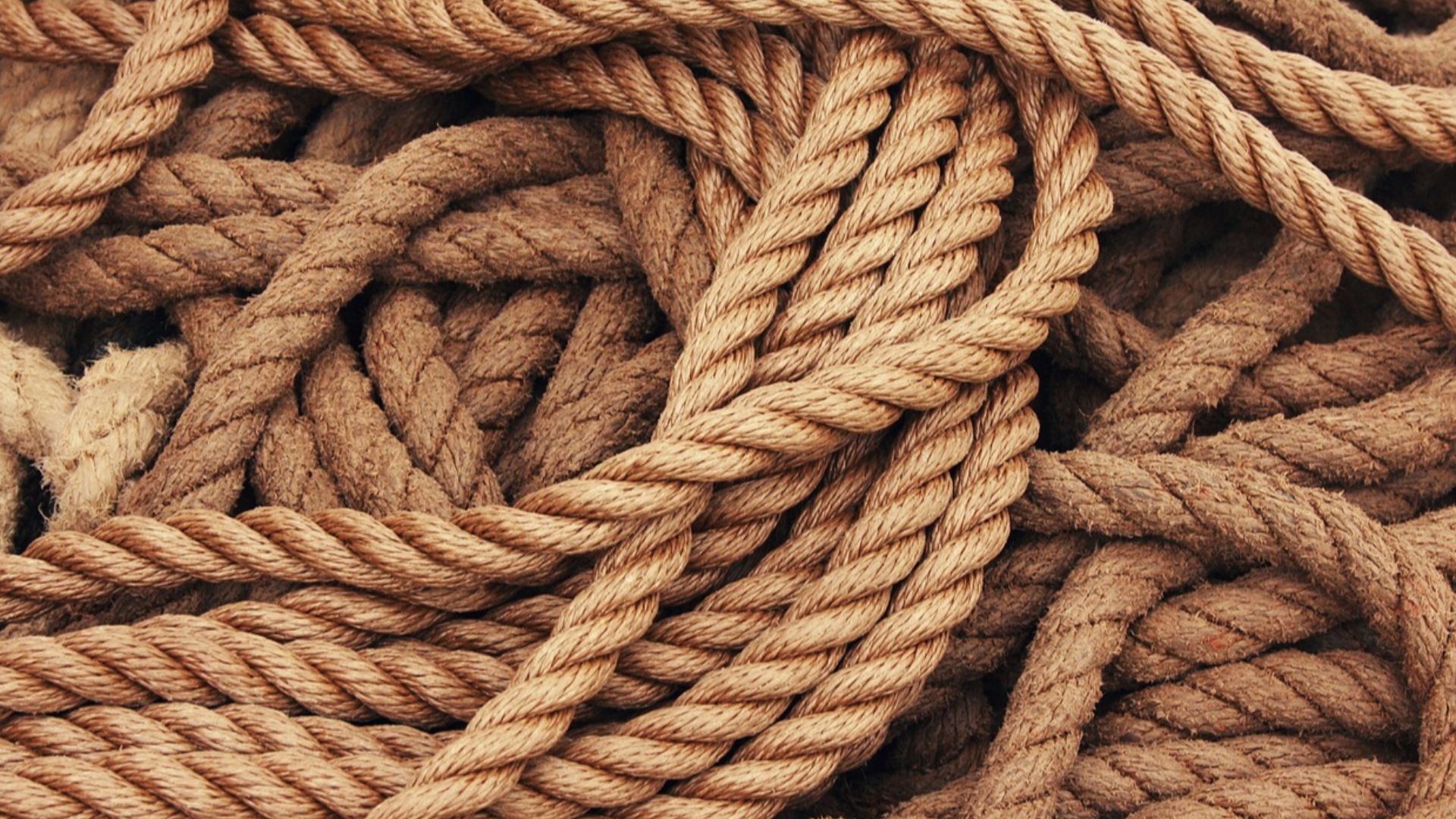 schuetz-mediendesign