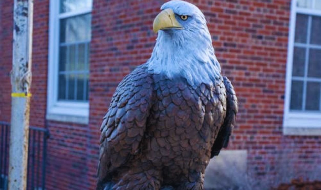 Stately Bald Eagle Sculpture in Wabasha
