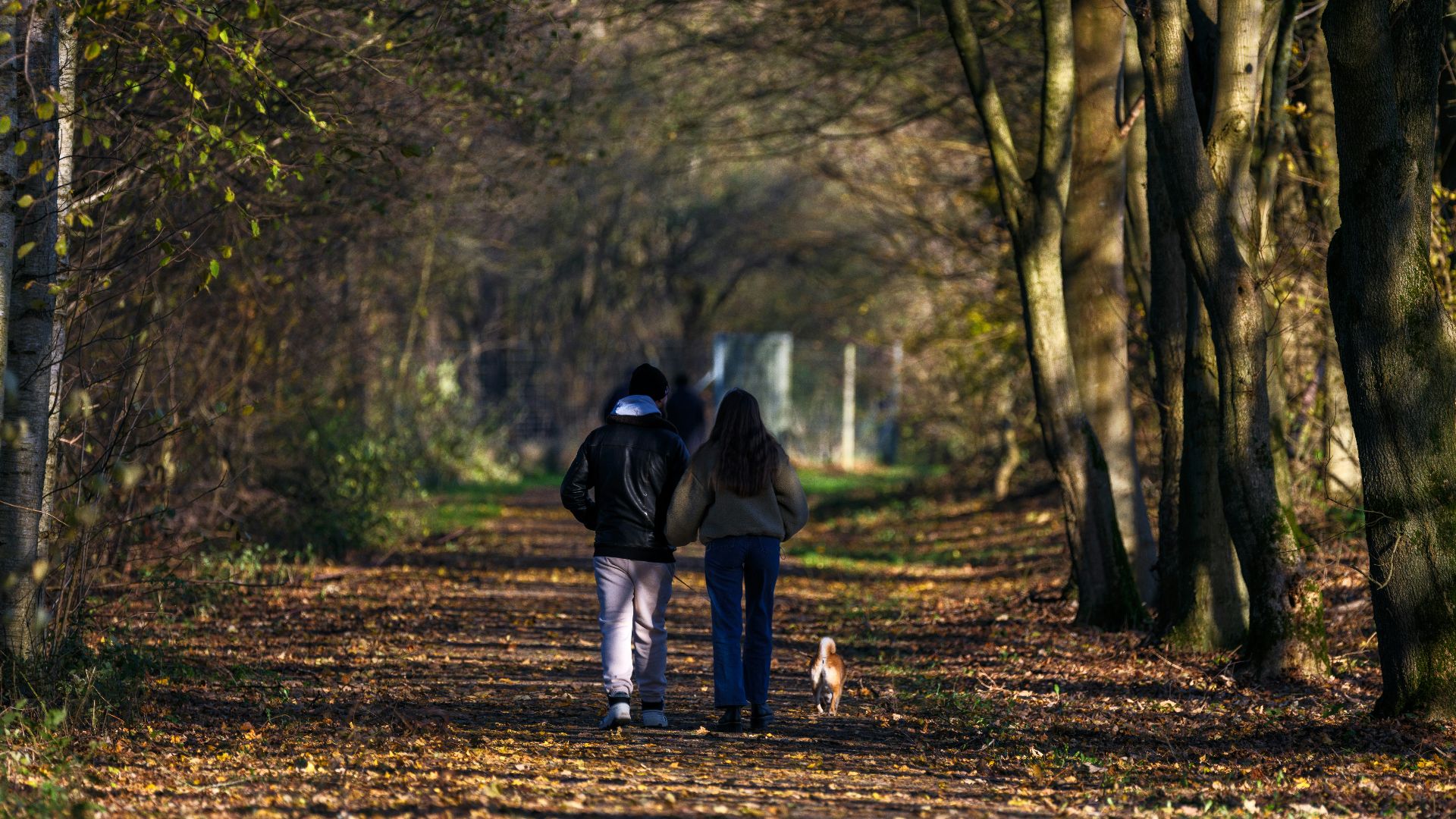Two people walking down a path in the woods