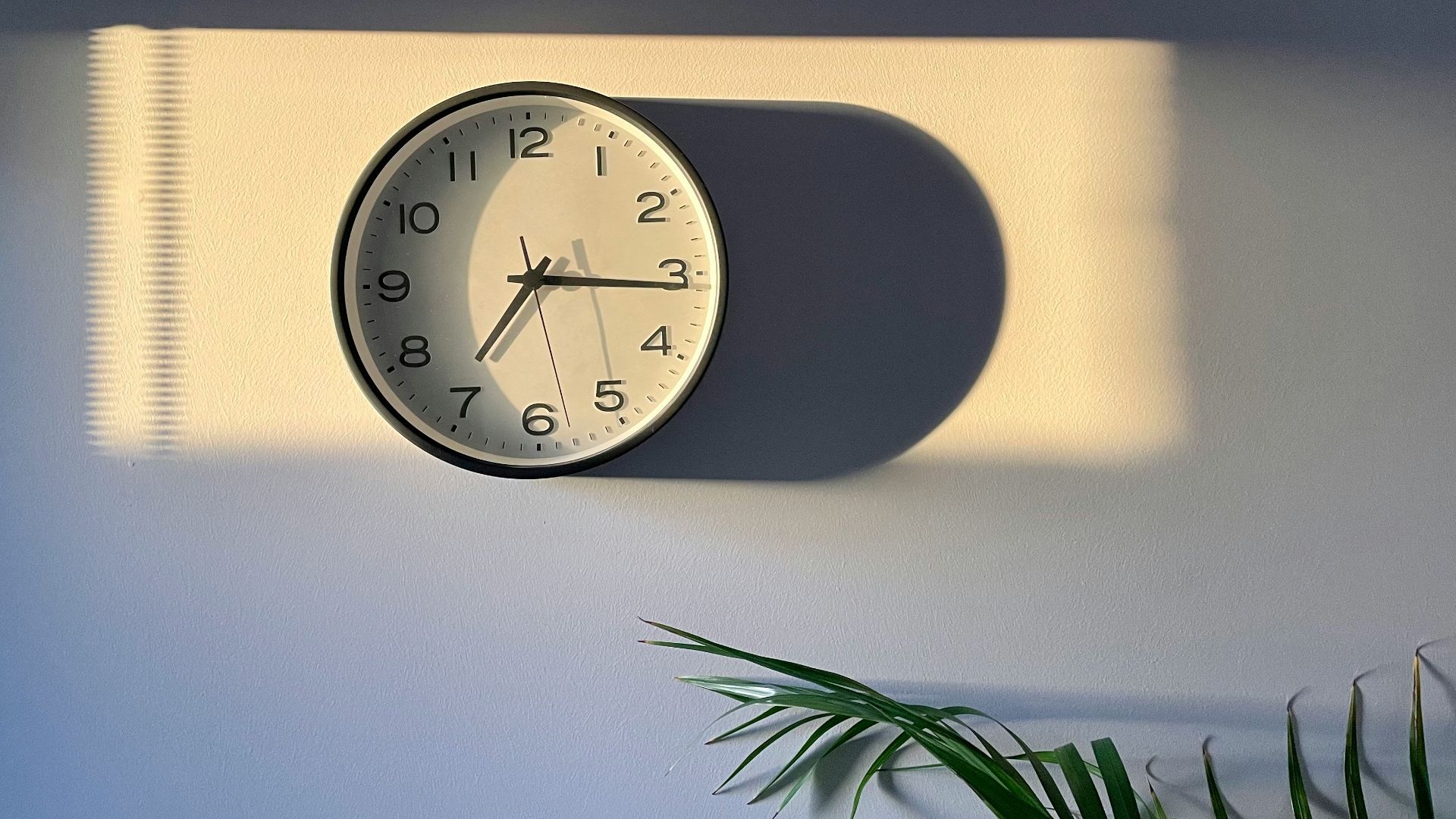 a clock on a wall with a plant next to it