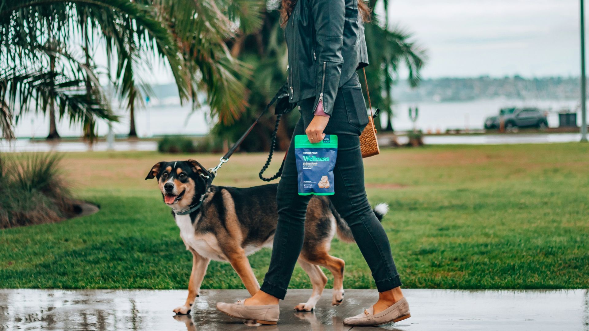 woman in black leather jacket and blue denim jeans holding black and brown short coated dog