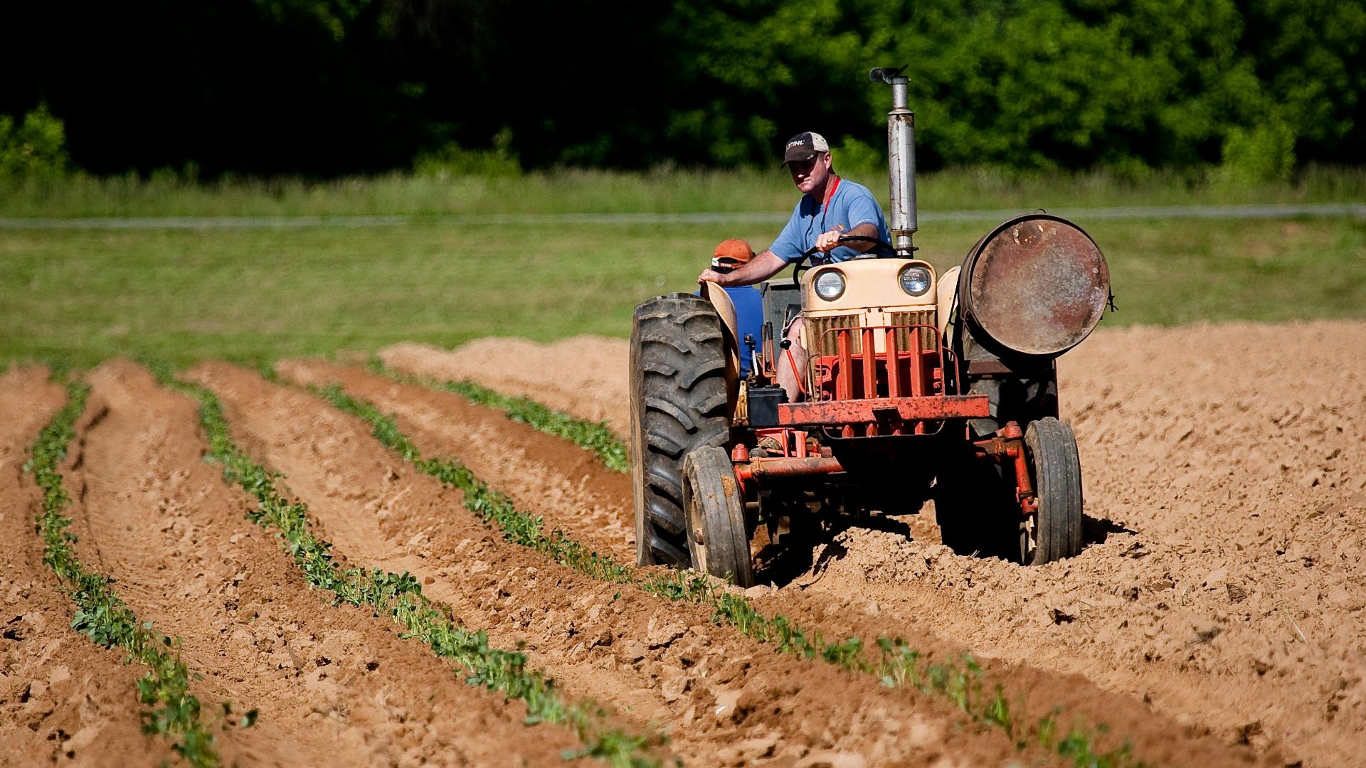 A farmer driving a tractor plowing rows in a rural North Carolina field on a sunny day.