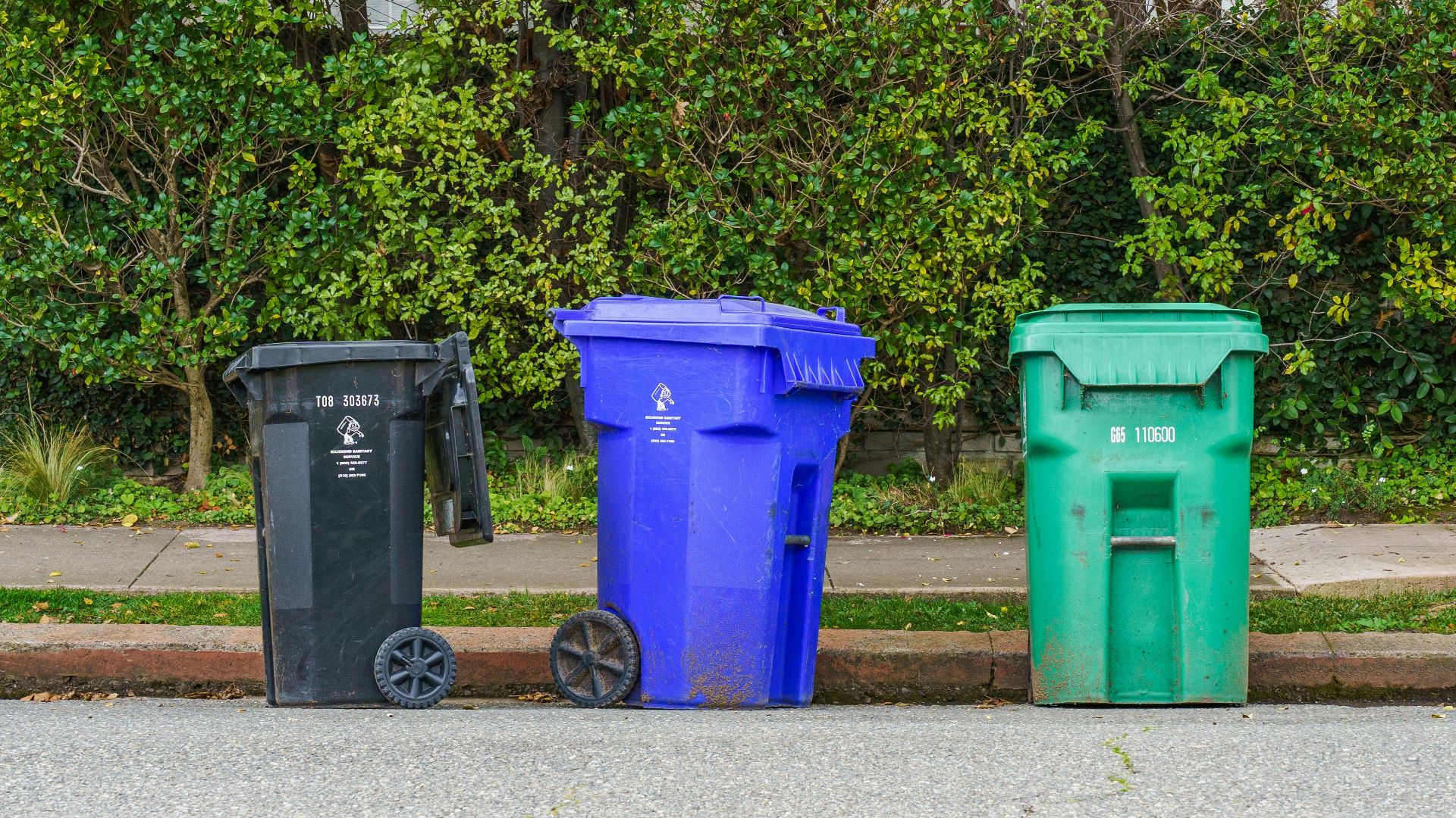 Black, blue, and green recycling bins on the street curb, ready for collection.