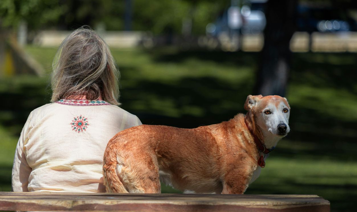Woman and Dog Relaxing in Bibra Lake Park