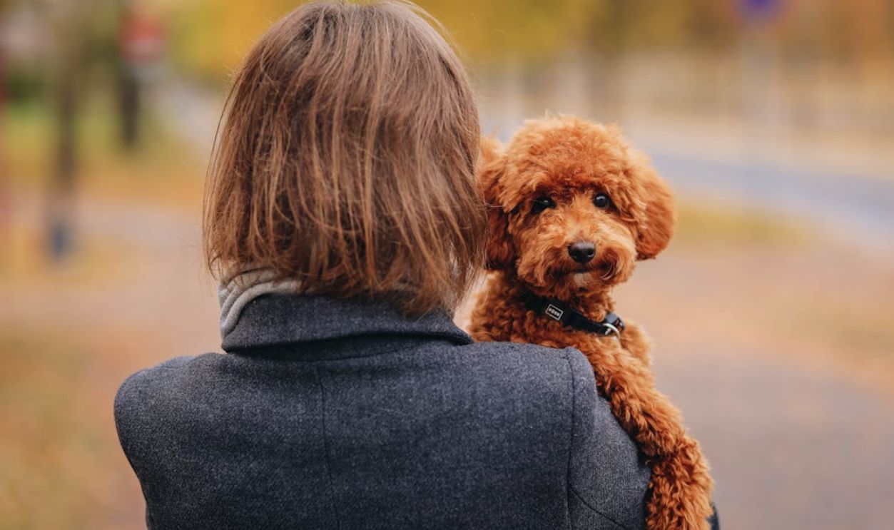 Woman in Coat and Dog