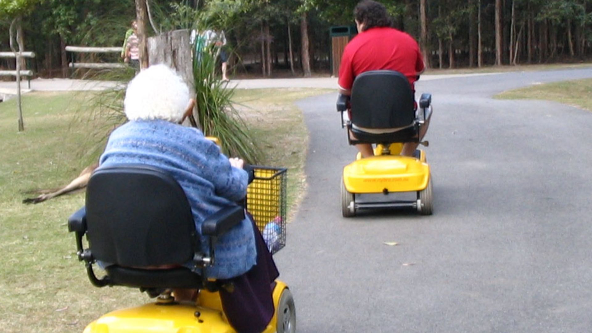 File:Mobility scooter zoo.jpg