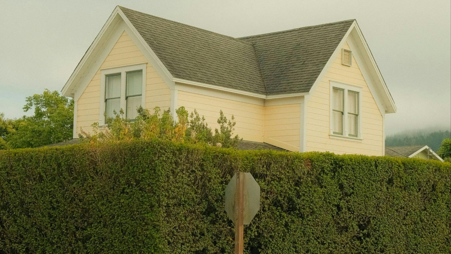 Quaint yellow house surrounded by lush hedges in Point Reyes Station, CA.