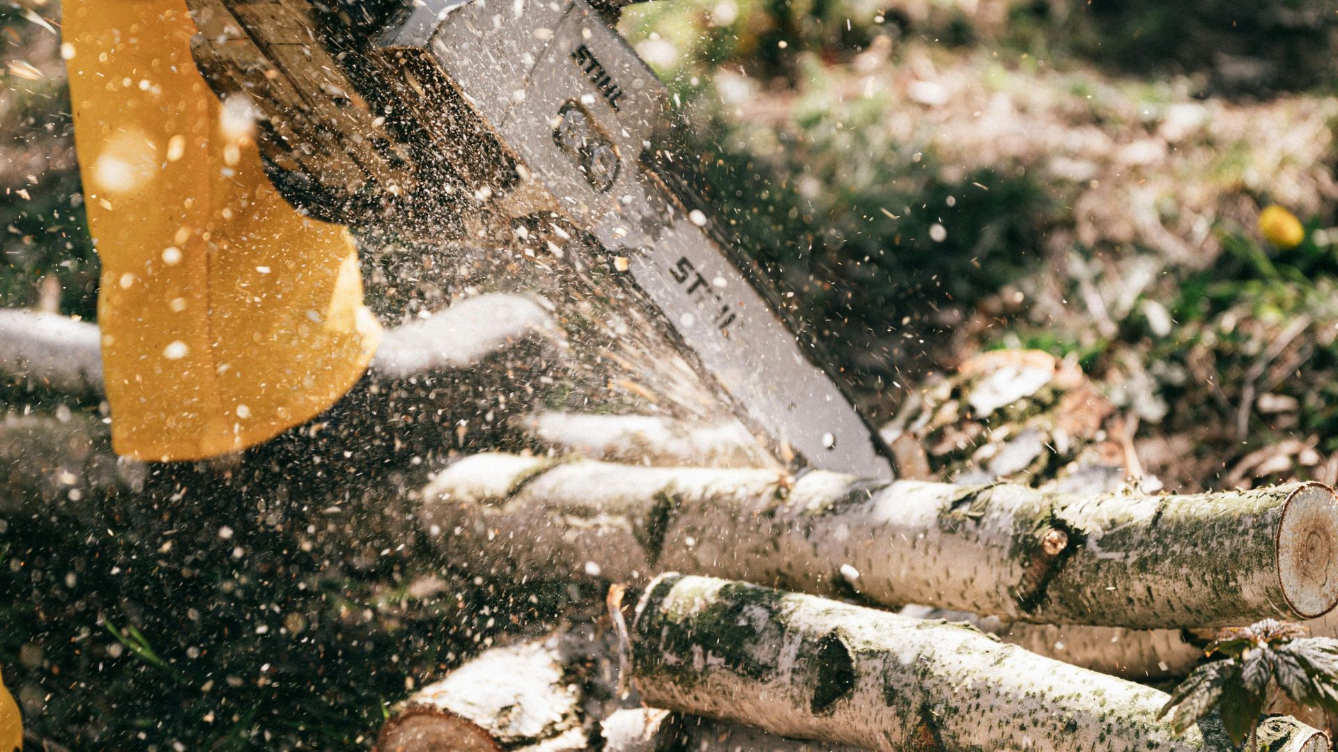 A person using a chainsaw to cut logs in a forest, demonstrating traditional lumberjack work.