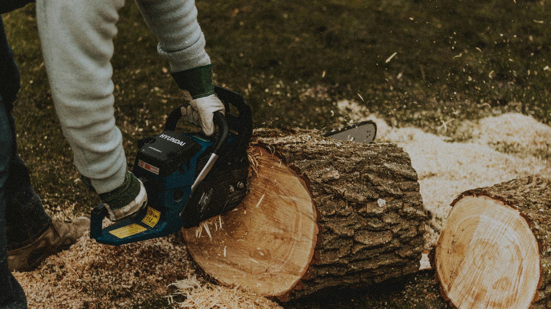 Faceless male worker in gloves sawing dried log with professional electric chainsaw on grassy terrain in suburb area in countryside