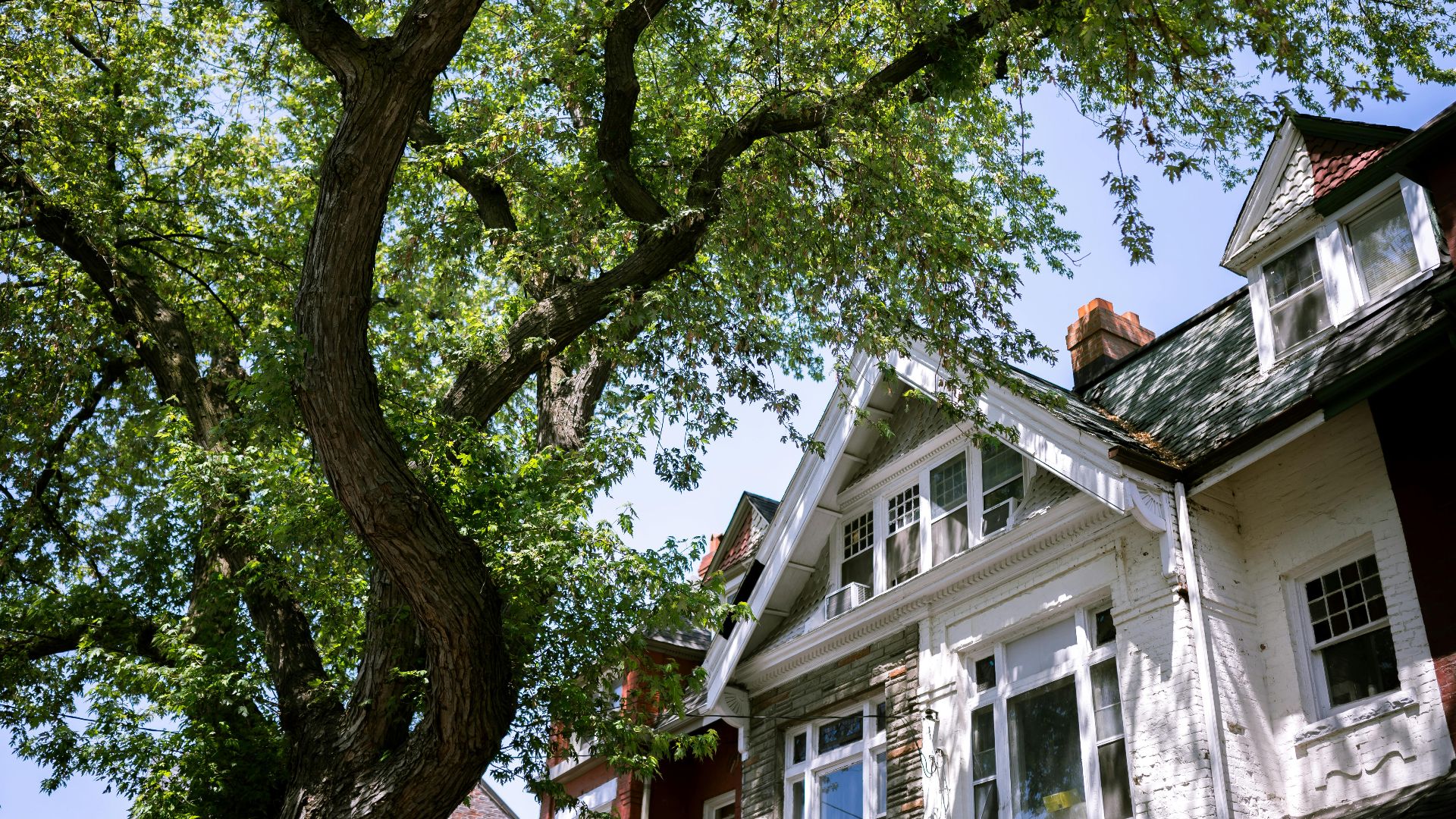 A suburban house with a tree casting shadows on its classic facade, showcasing a peaceful neighborhood.