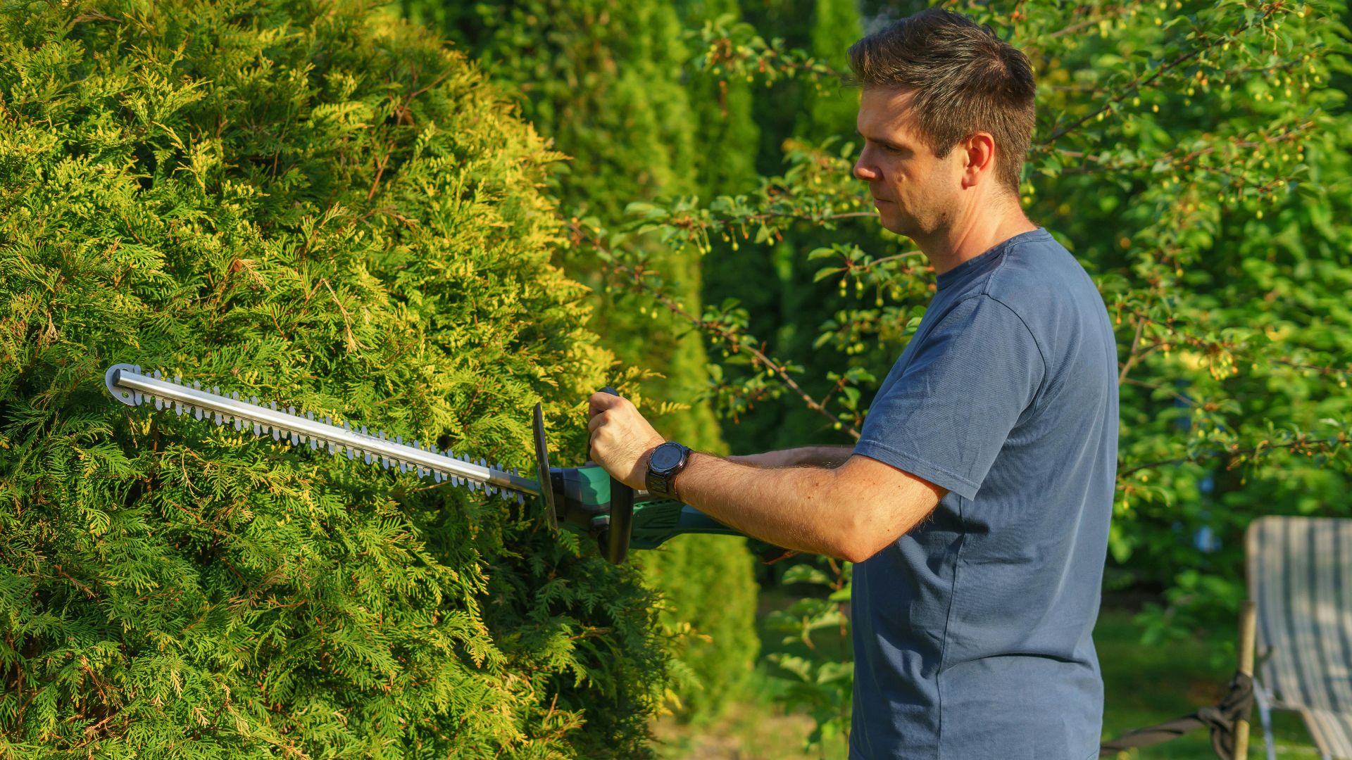Man trimming hedge with electric trimmer in a sunny garden.