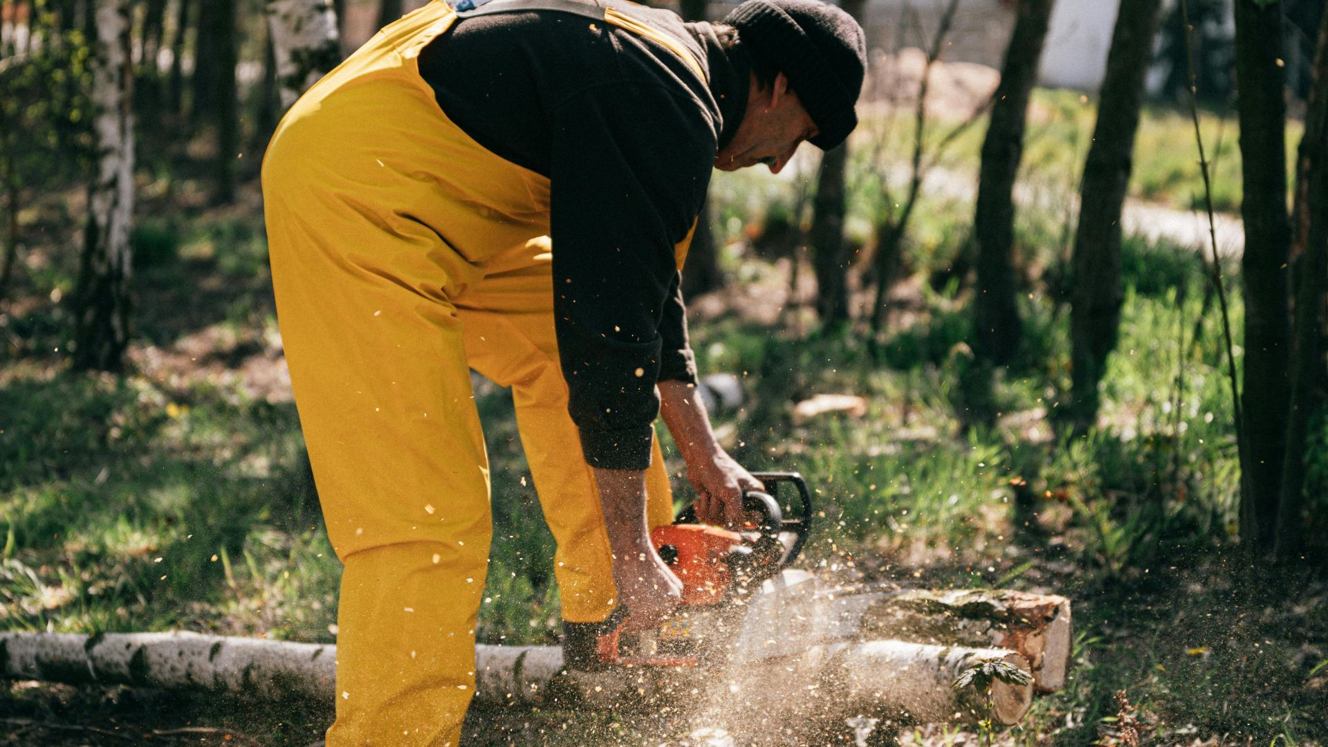 A worker in yellow overalls uses a chainsaw to cut logs in a sunny forest setting.