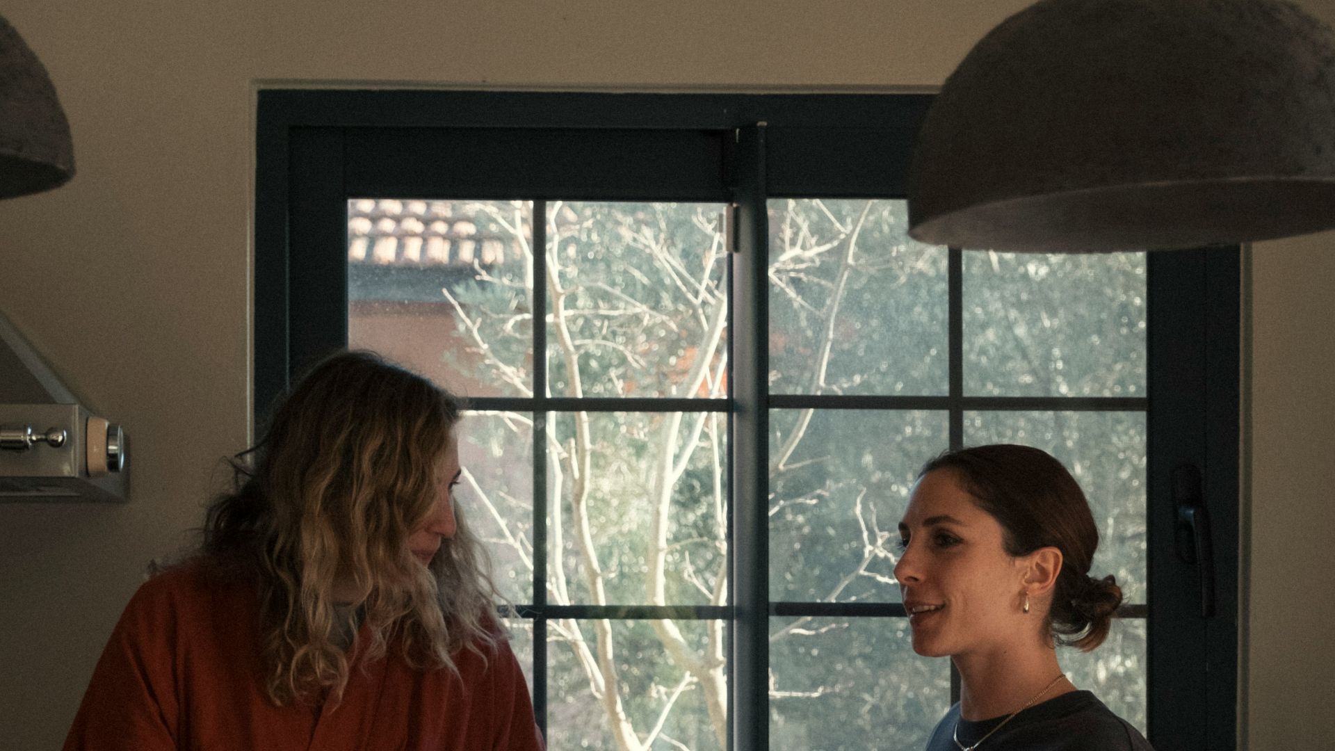 Two women talking in a modern kitchen.