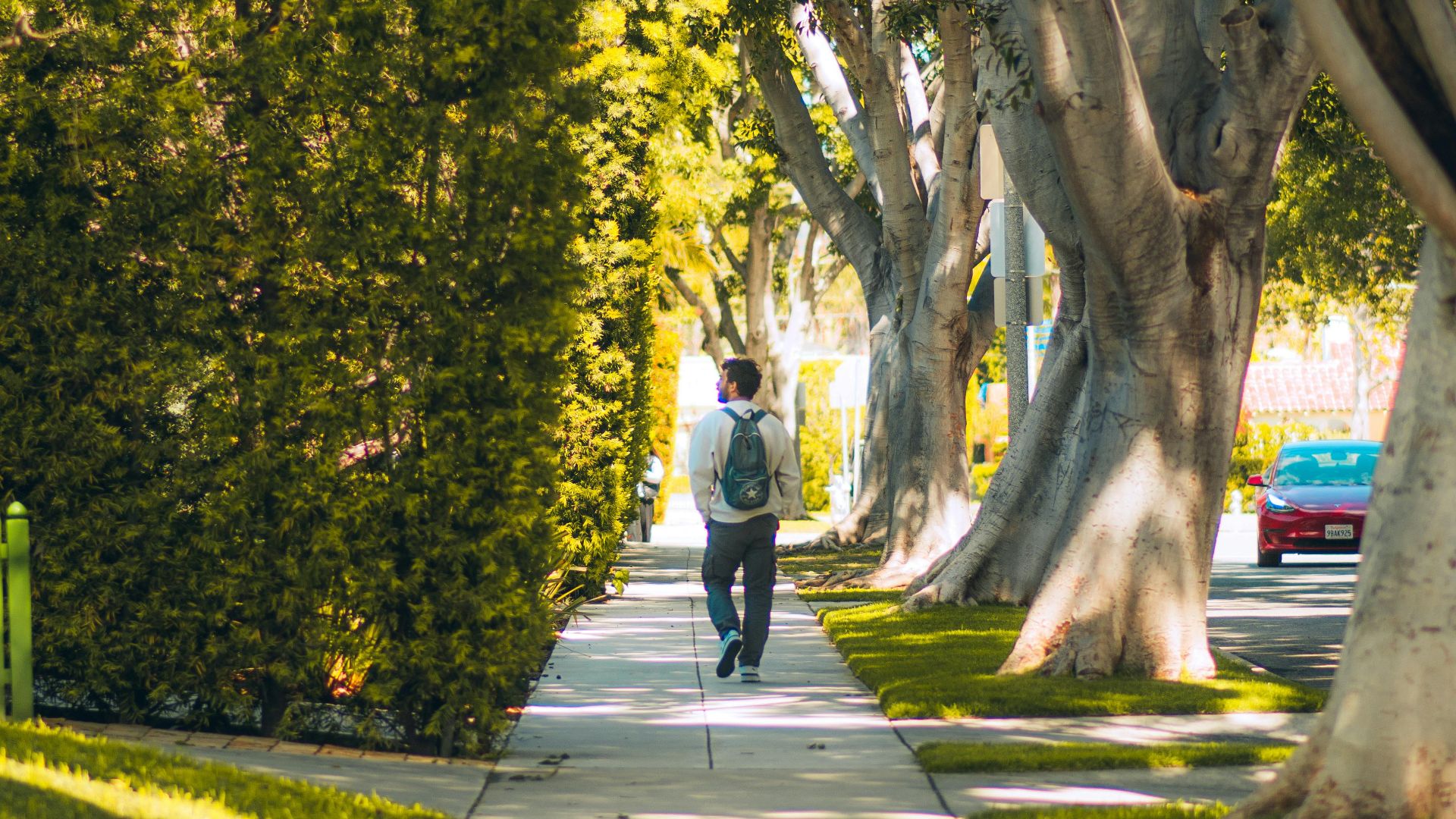 Man walking on a sunny suburban sidewalk lined with trees.