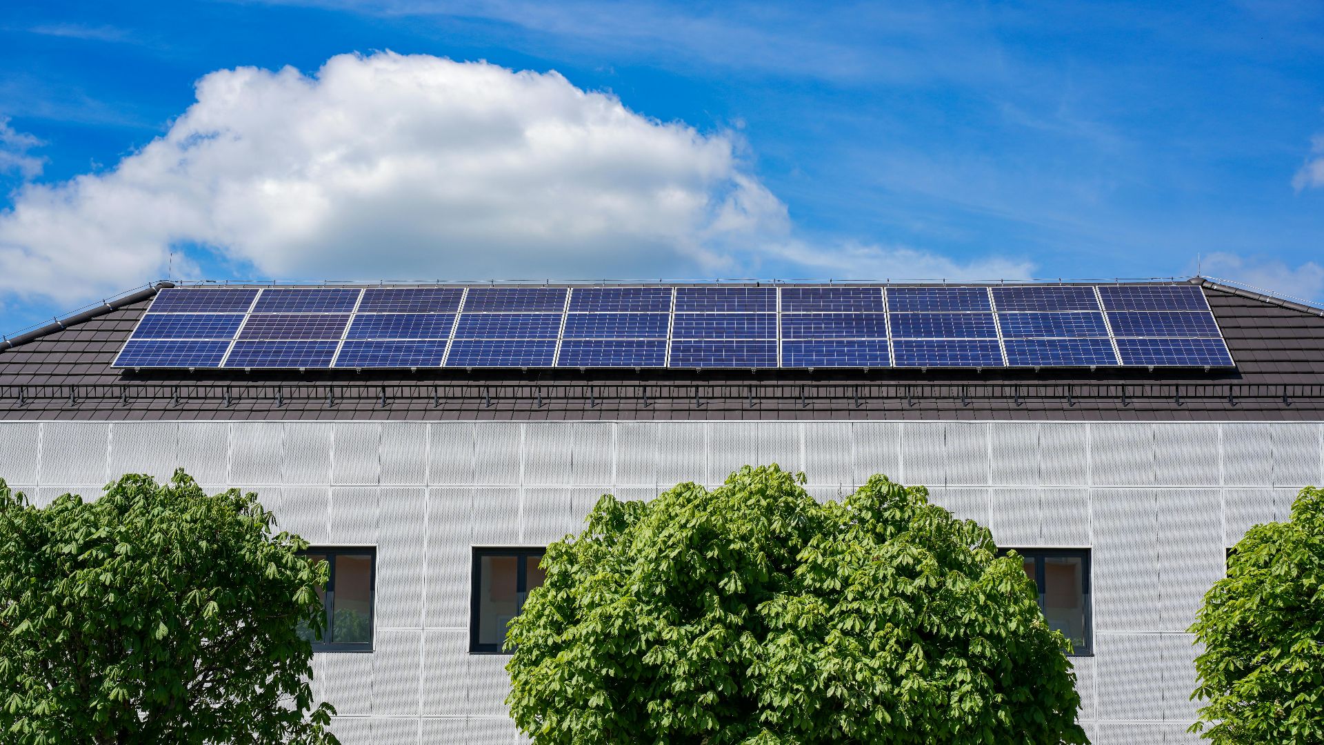 Energy-efficient building topped with solar panels and surrounded by lush trees.
