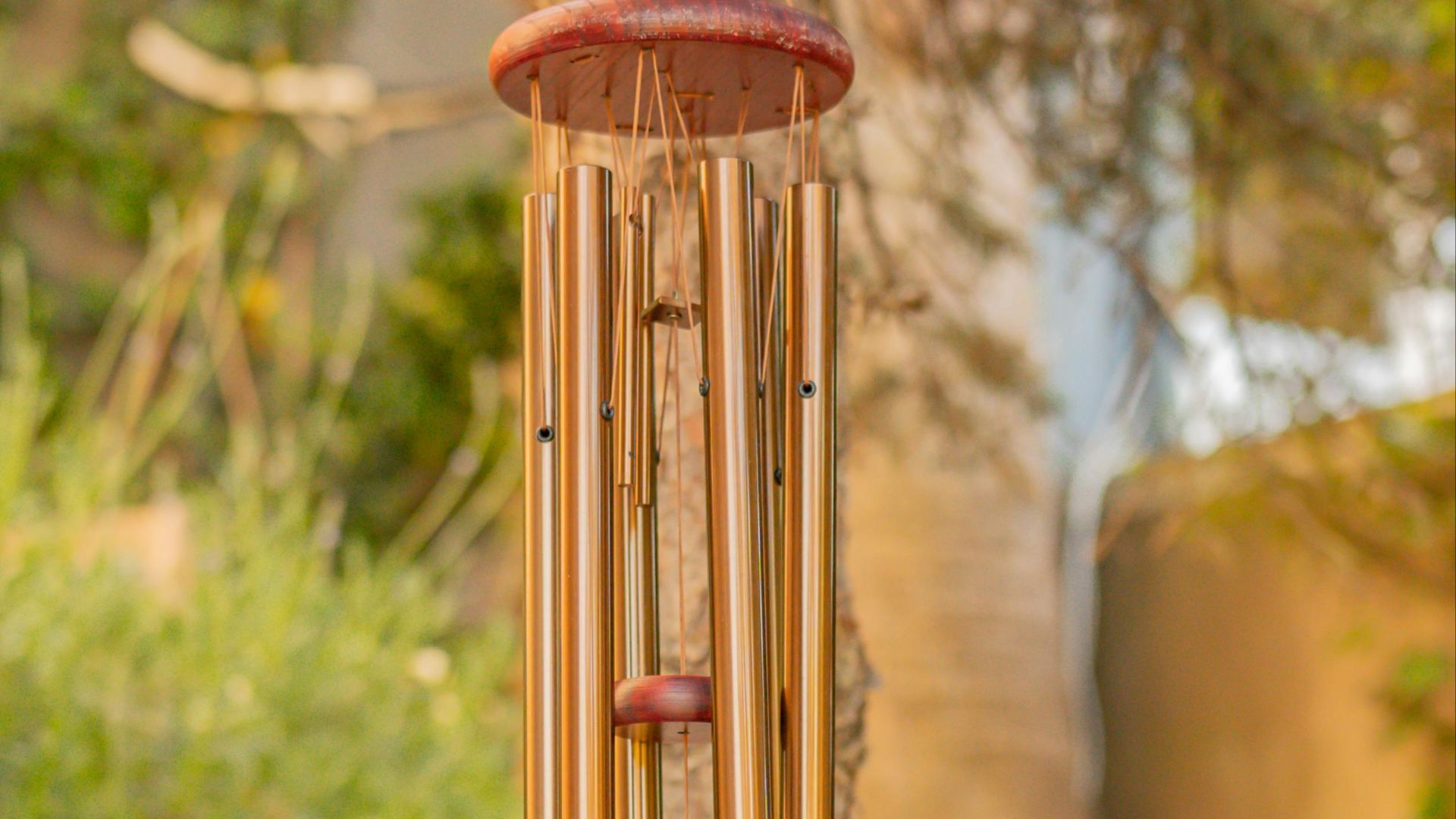 A serene outdoor wind chime hangs amidst greenery, offering a tranquil vibe.