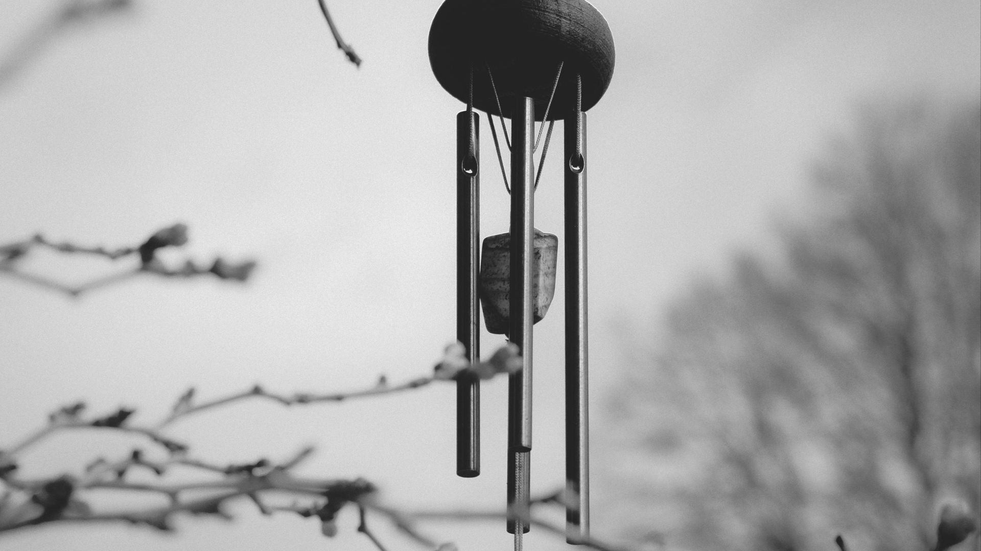 Black and white photo of a wind chime hanging from tree branches, creating a serene atmosphere.