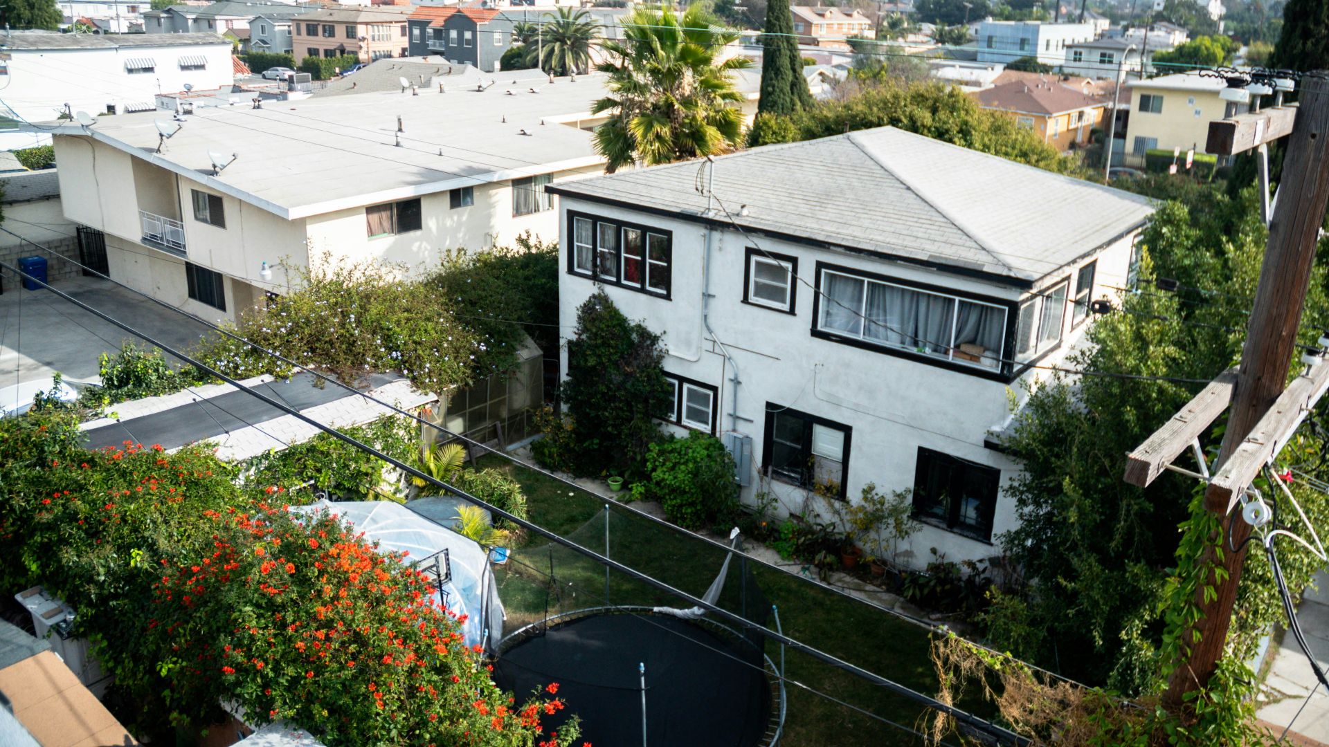 Two-story houses with overgrown gardens and trees.