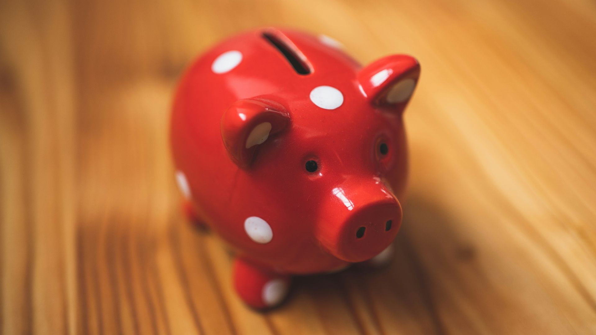 pink and black ceramic piggy bank