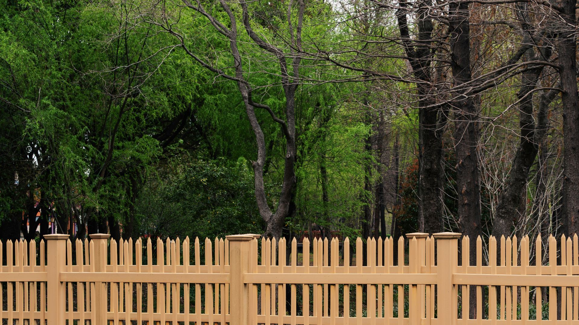 Wooden fence bordering a tranquil body of water