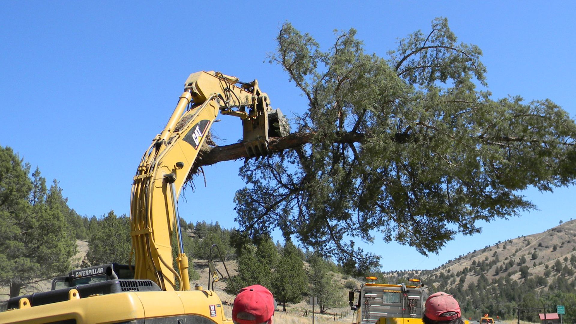 Hazard trees are trees that are in danger of falling onto a roadway. ODOT is charged with removing those trees for safety.