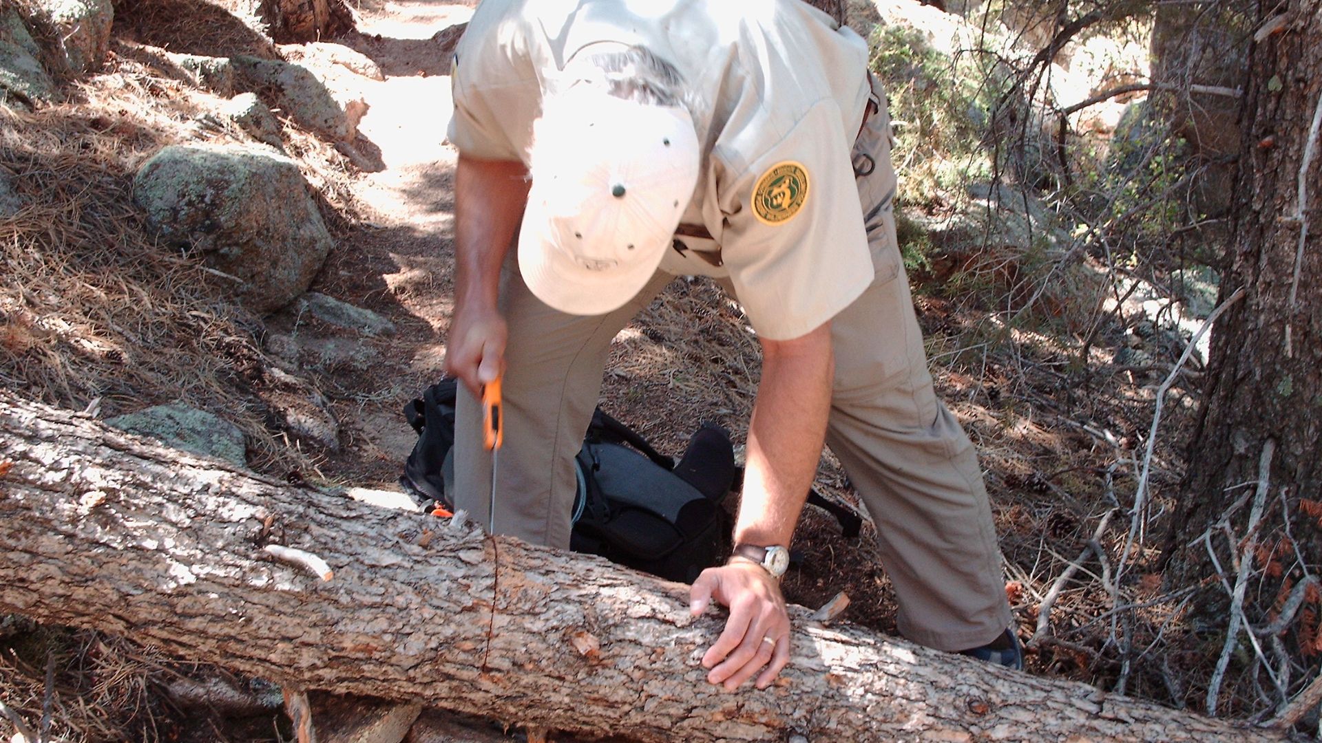 Cutting a tree that is blocking the Grey Rock Trail