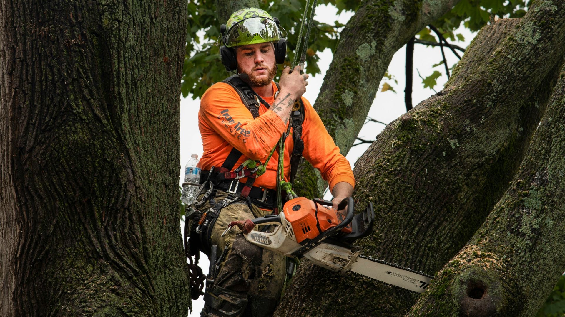 a man in a helmet sitting on a tree branch