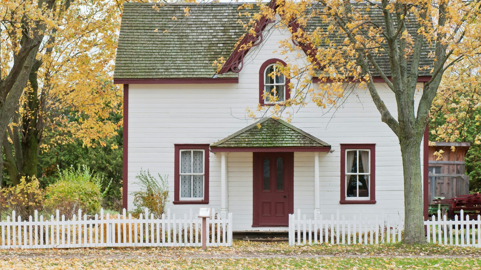 white house under maple trees
