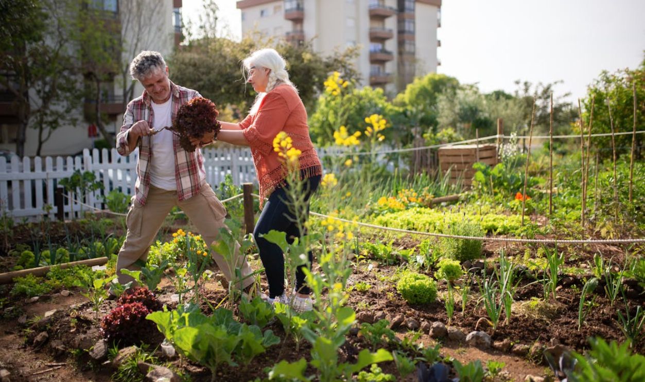 A Couple in a Vegetable Garden