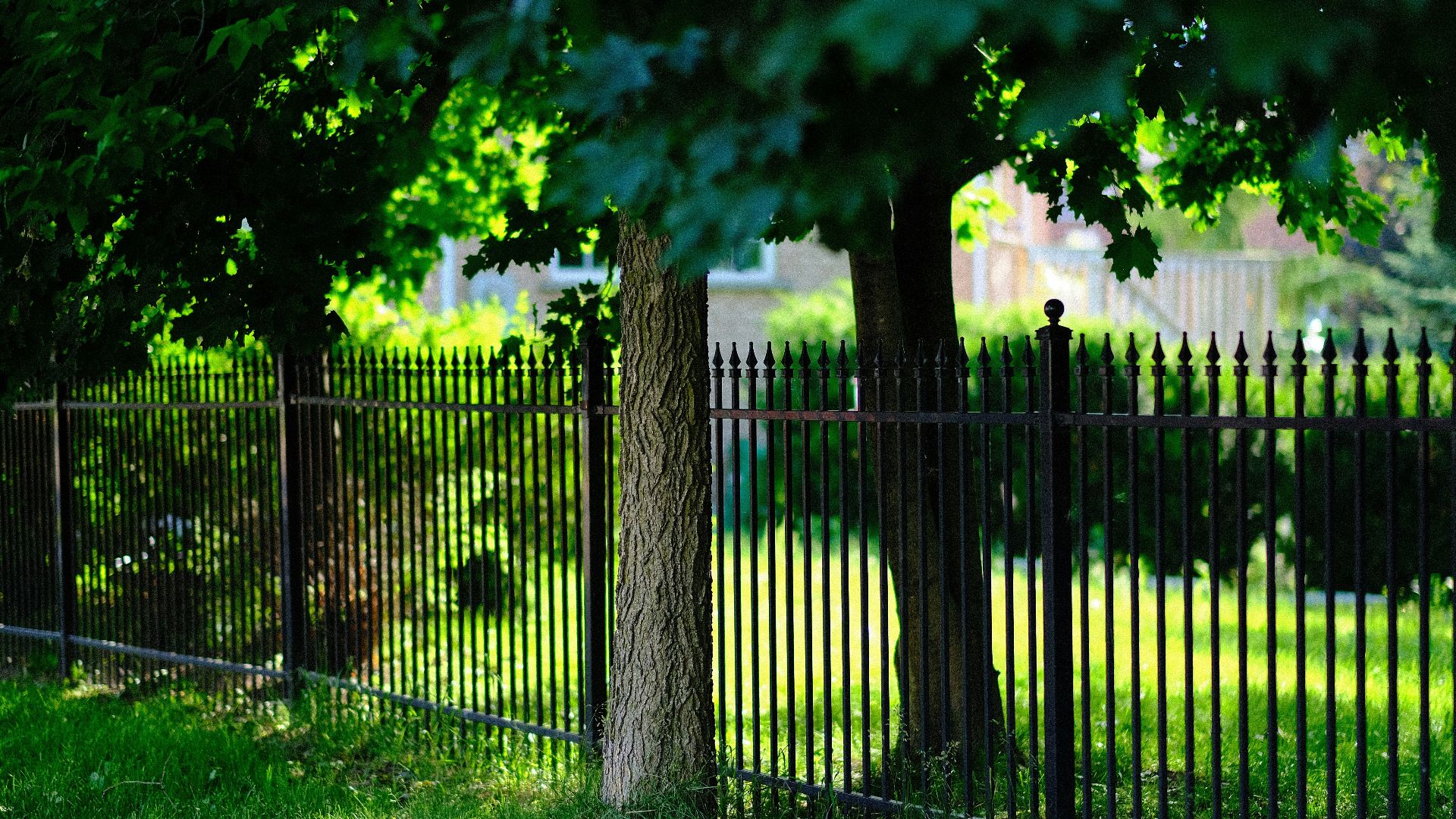 black metal fence near green trees during daytime