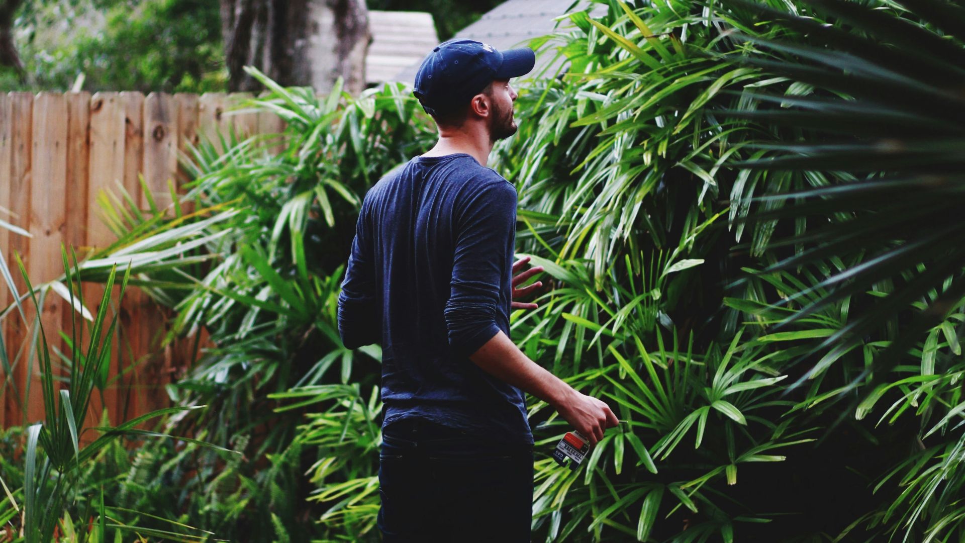 man wearing blue long-sleeved shirt standing beside green leafed plant