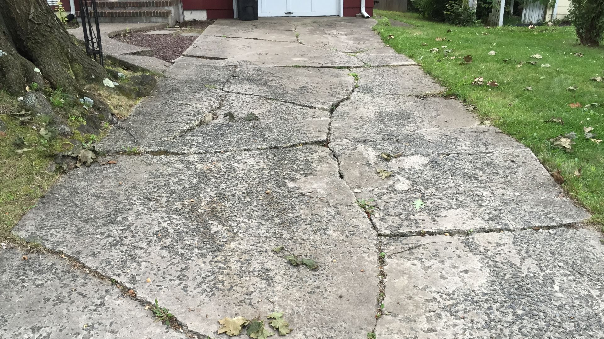Concrete driveway severely cracked and buckled by tree roots along Glen Mawr Drive in Ewing Township, Mercer County, New Jersey
