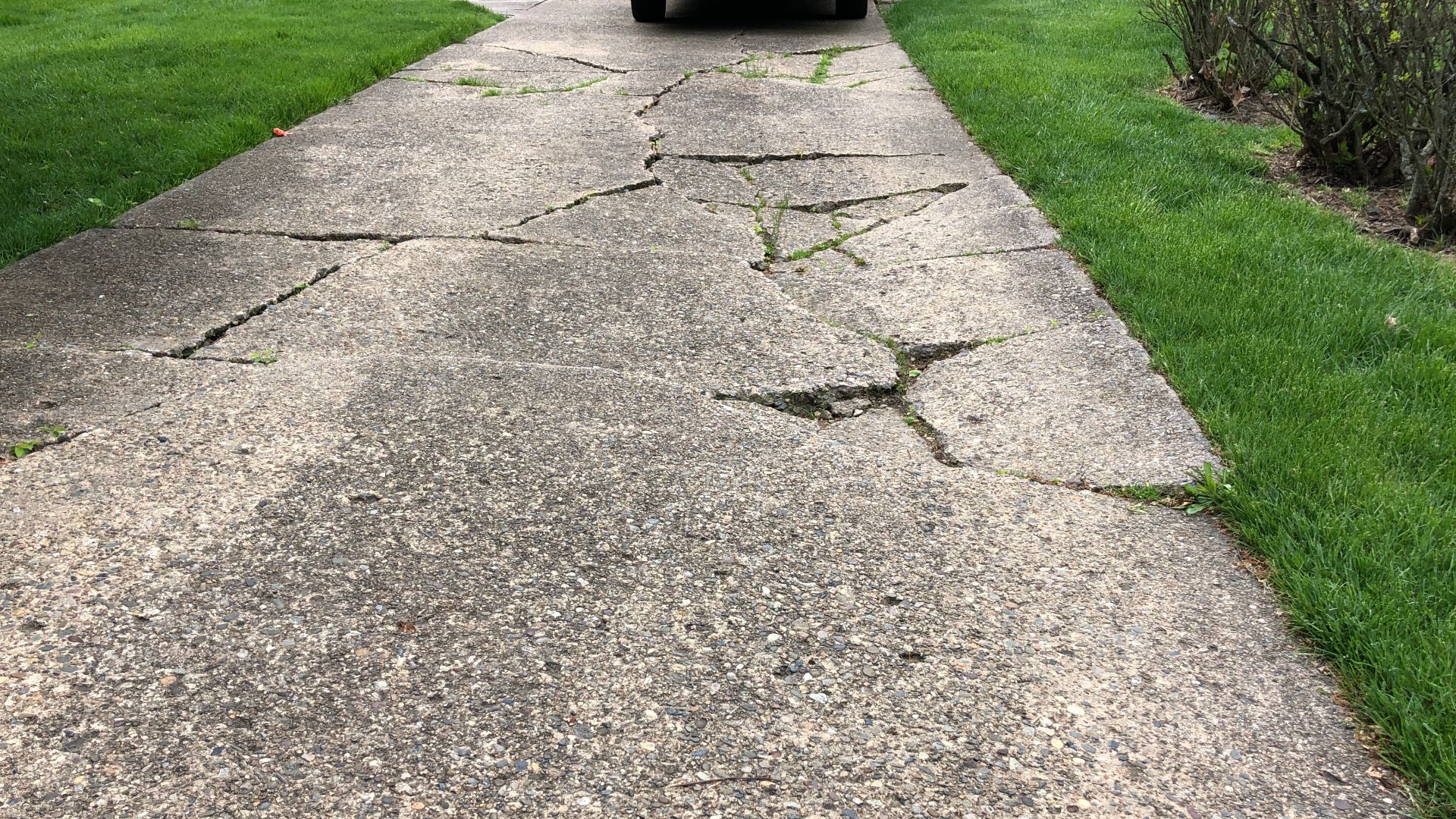 60-year old concrete driveway severely cracked and buckled along Aquetong Lane in the Mountainview section of Ewing Township, Mercer County, New Jersey