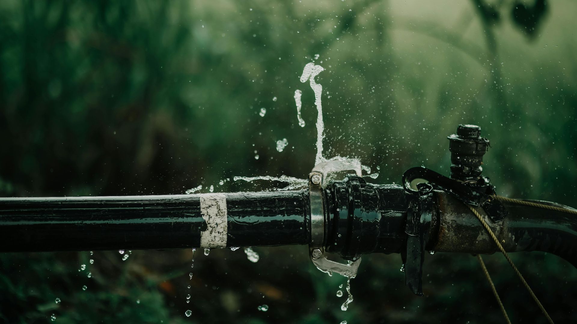 A detailed view of a leaking water pipe in a lush green garden setting.