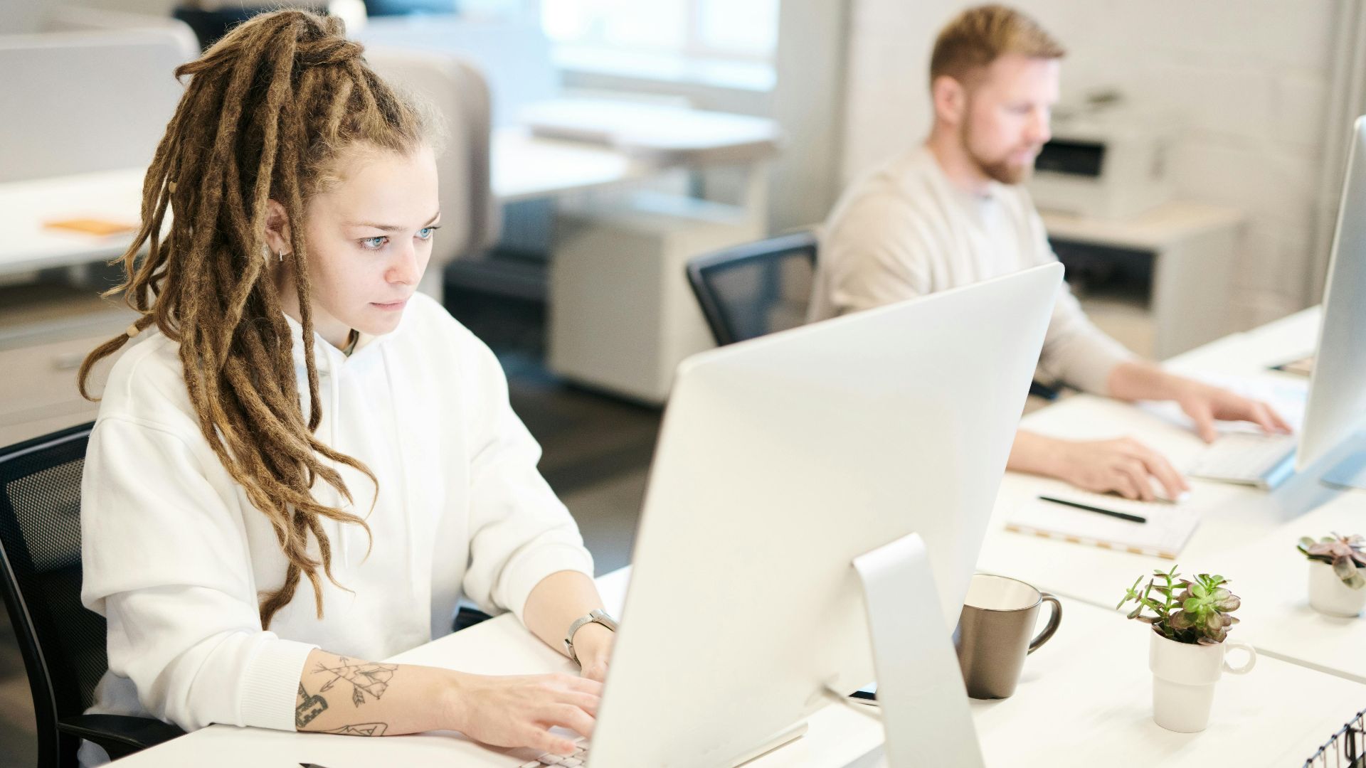 Two colleagues concentrating on work, using computers in a bright modern office.