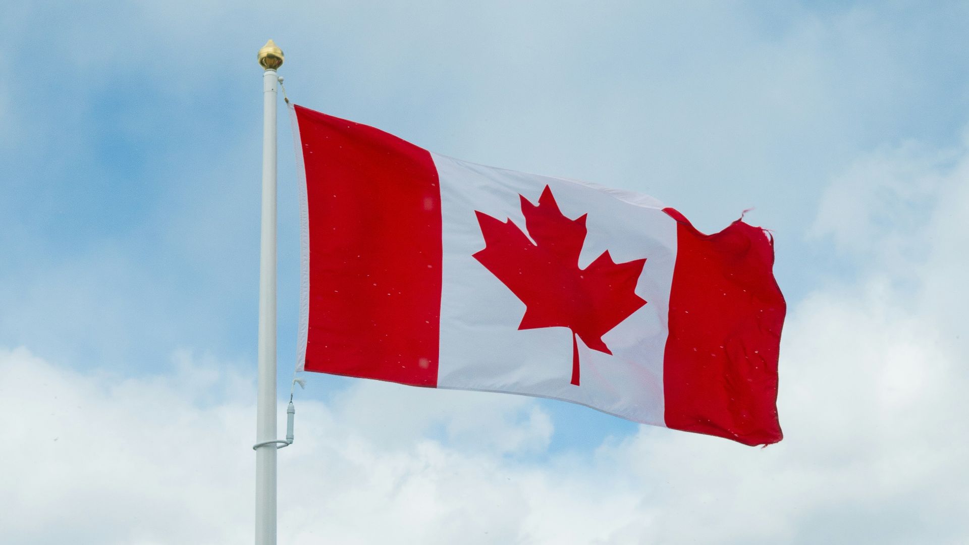shallow focus photo of Canada flag