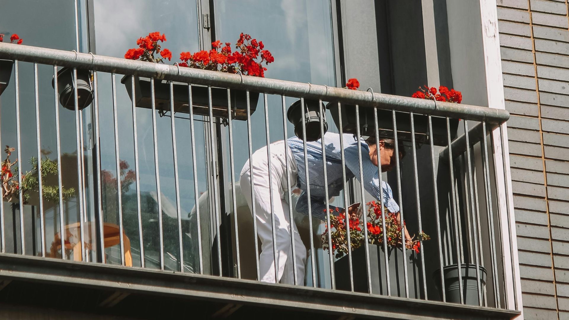 A person tending flowers on a balcony in a London apartment complex on a sunny day.