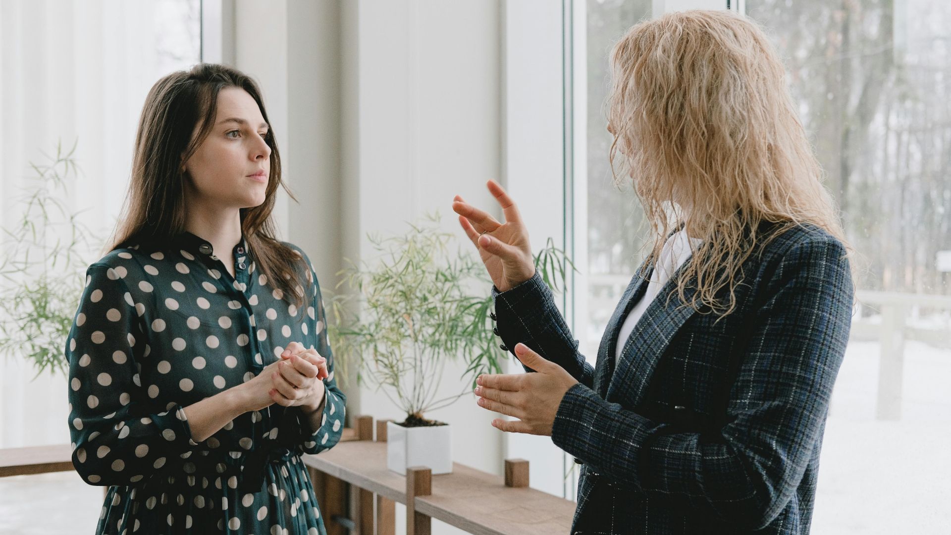 Concentrated young female colleagues in elegant outfits standing near window in light office and discussing project