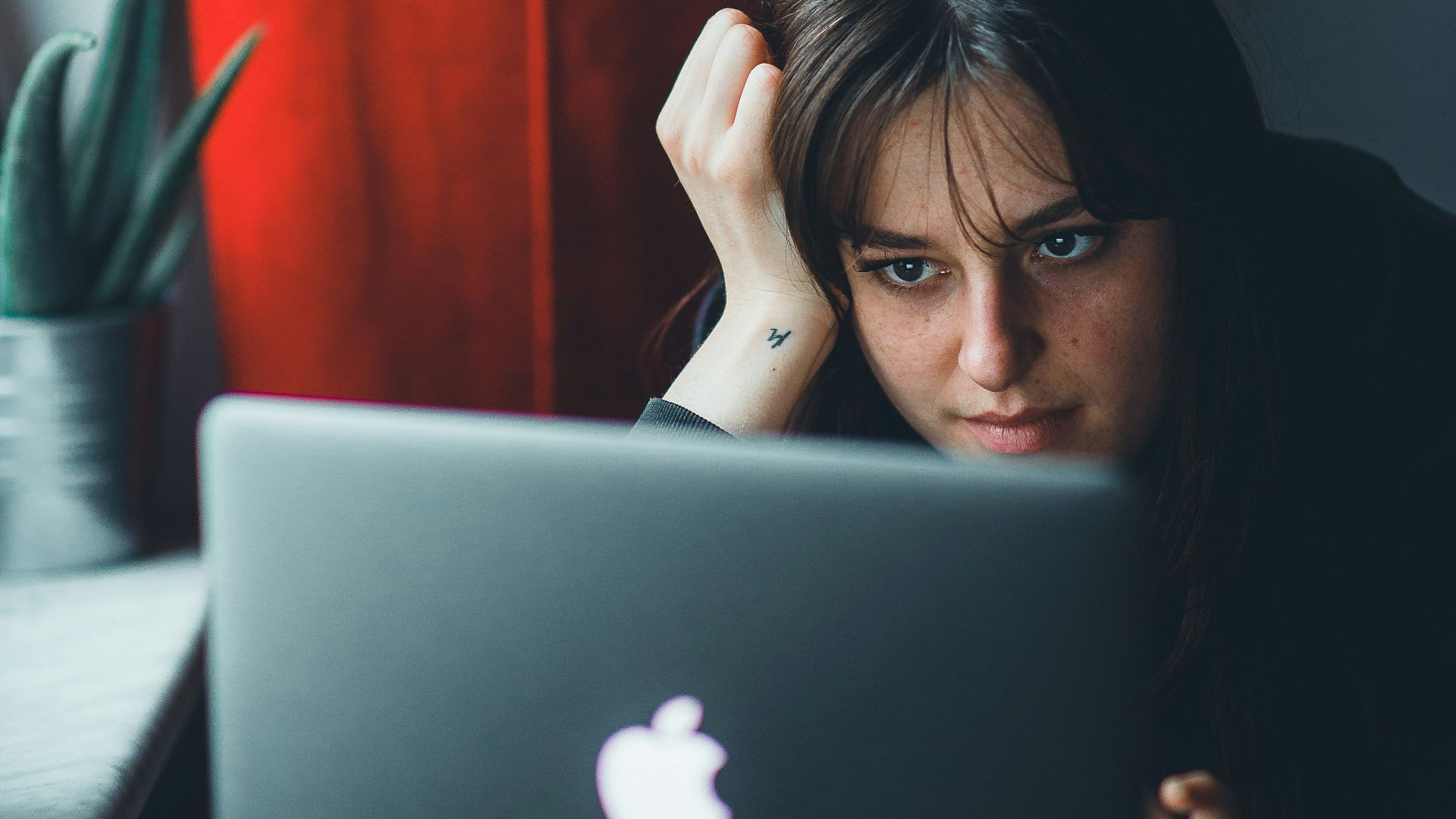 a person looking at a laptop