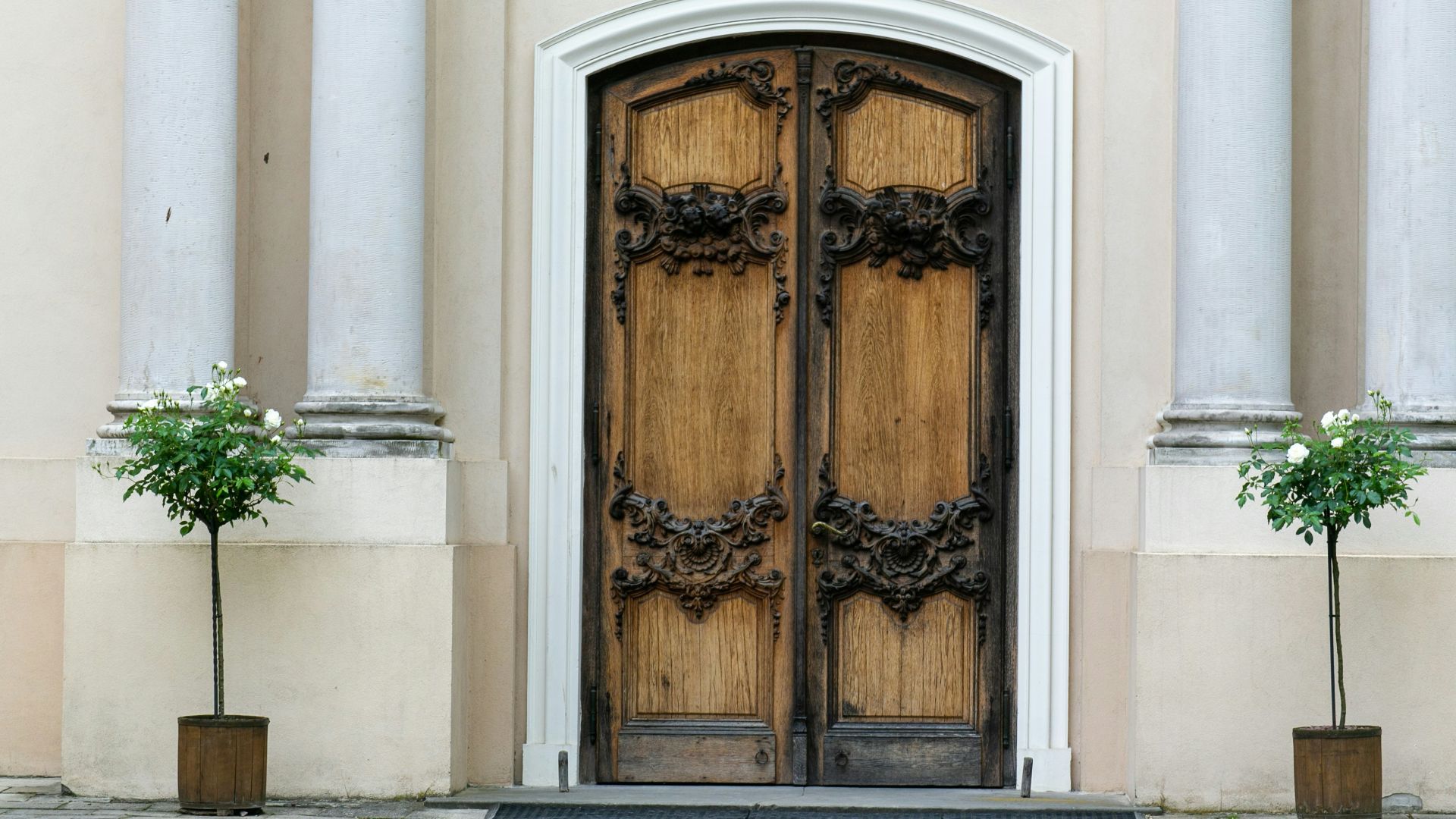 a large wooden door with two potted plants in front of it