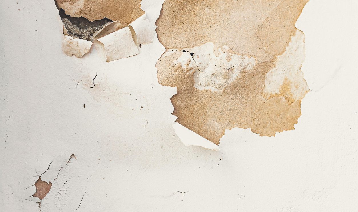 Paint Peel Off on a Crack Wall