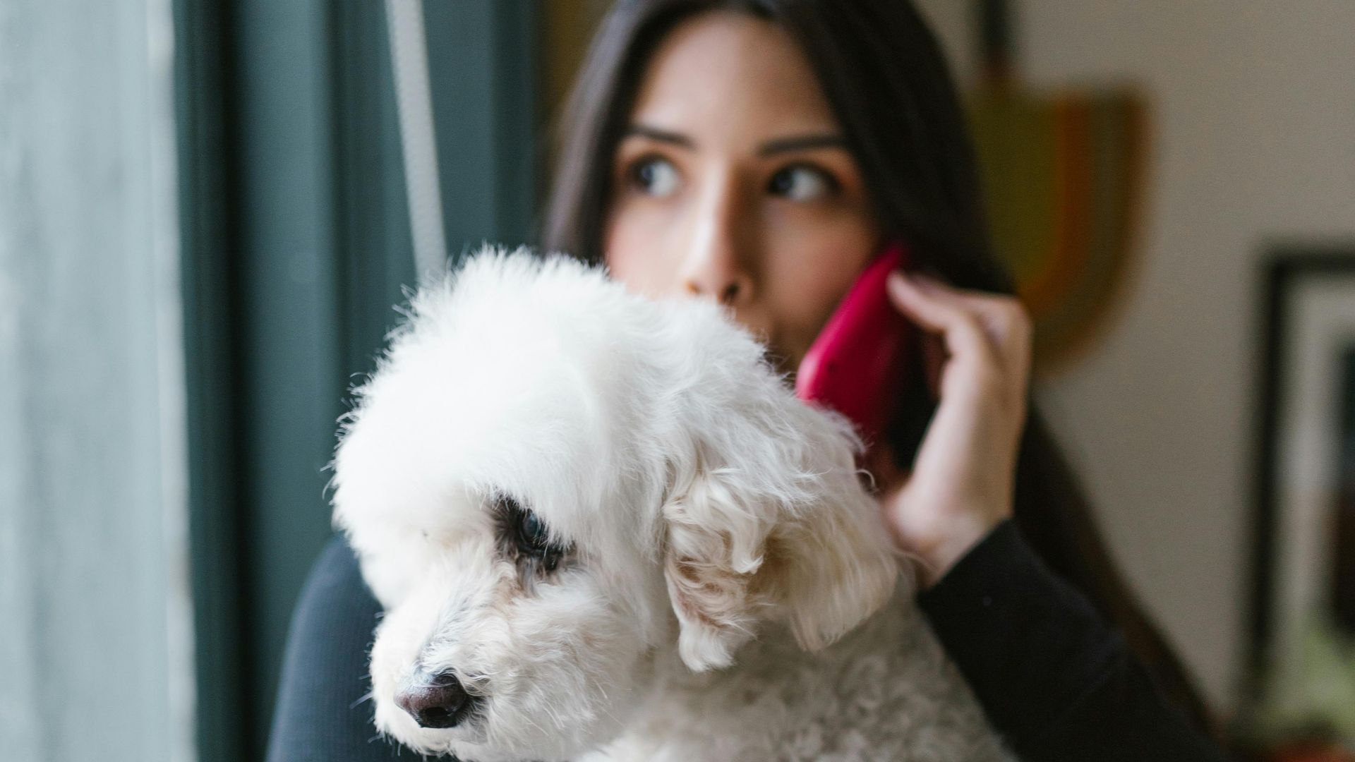 A woman holds her white dog while talking on the phone near a window indoors.