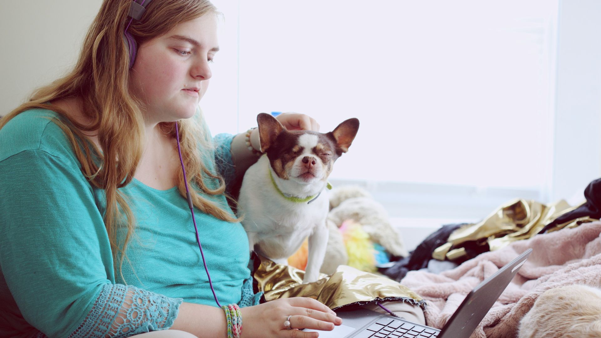 girl in blue jacket holding white and brown short coated puppy