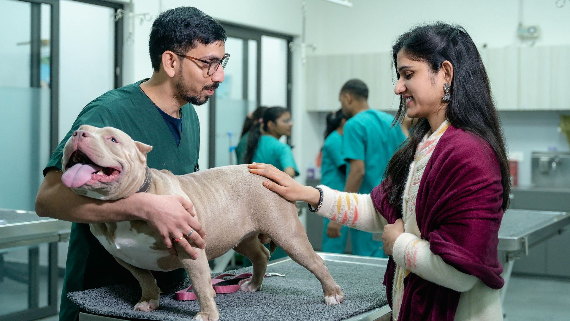 A vet examines a dog with its owner at a veterinary clinic.