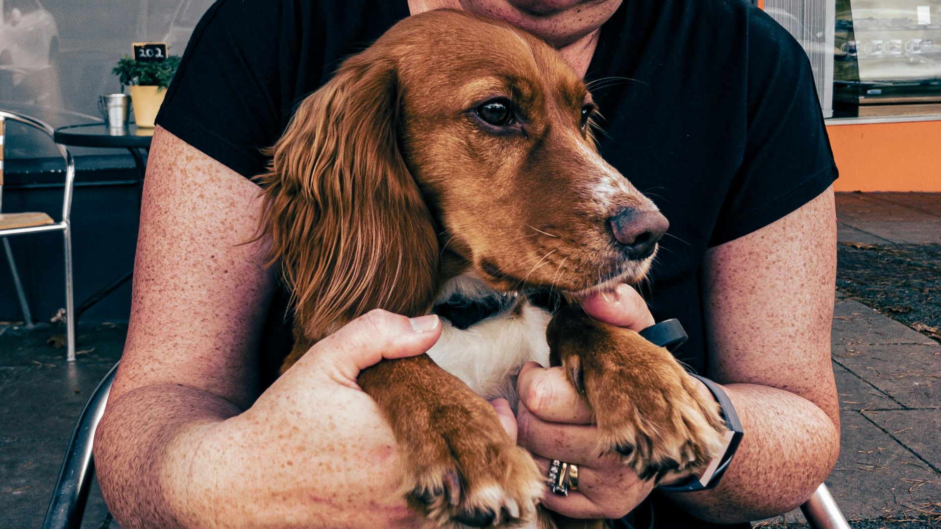 a man holding a dog
