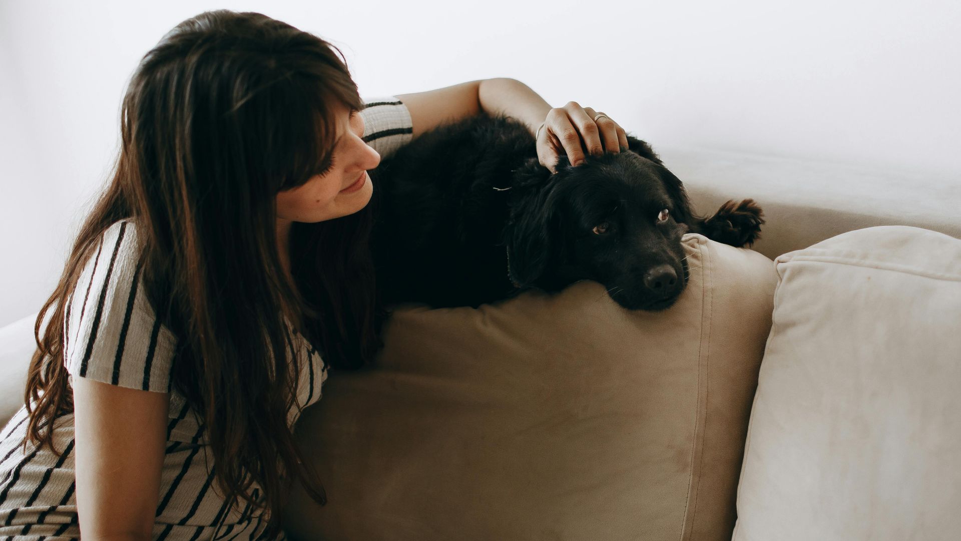 A woman gently pets her black dog on a beige sofa, creating a cozy indoor scene.