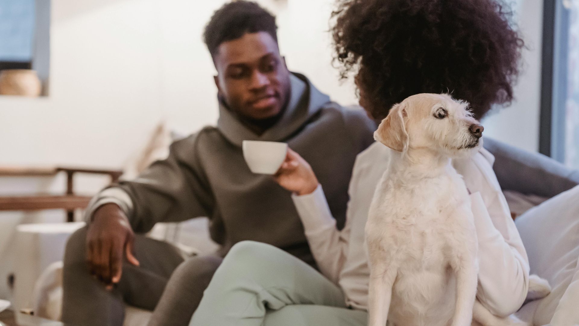 Crop anonymous African American girlfriend with cup of coffee on sofa with funny curious dog in lounge