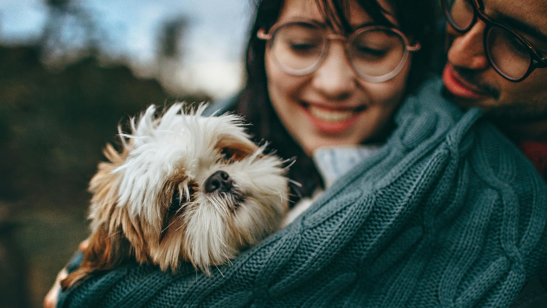A joyful couple cuddles their Shih Tzu in a cozy blanket during a delightful day outdoors.
